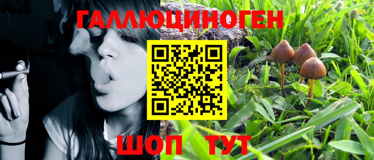 Псилоцибиновые грибы Magic Shrooms Донецк