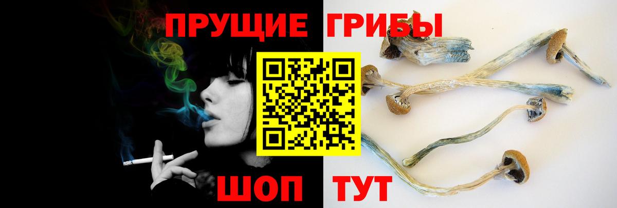 как найти   Галлюциногенные грибы мицелий  Вход с VPN  Донецк 